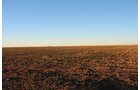 TRACT 1 - REAL ESTATE & MINERAL AUCTION - 640+/- ACRES & PRODUCING MINERALS OFFERED IN 8 TRACTS IN MORTON COUNTY, KANSAS